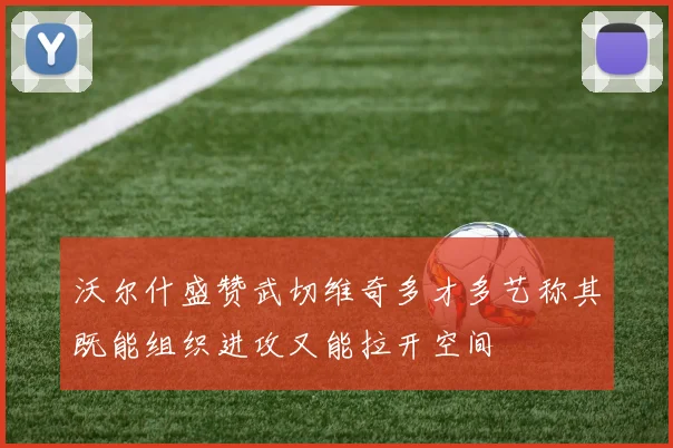 沃尔什盛赞武切维奇多才多艺称其既能组织进攻又能拉开空间
